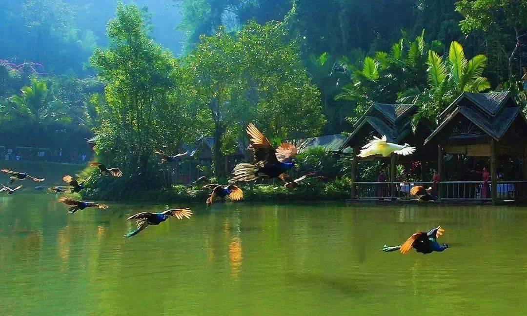 指尖冲刺