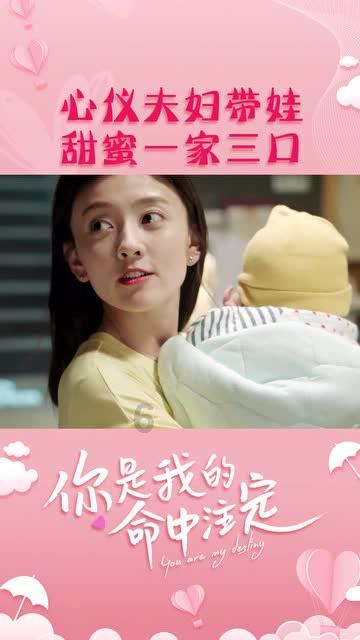 意大利监管机构认定ChatGPT违反隐私法